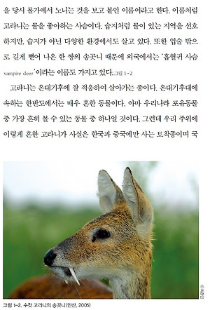기사 전문보기 아래 링크 참조
