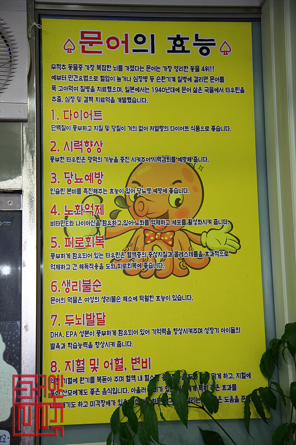 해남해산물 이미지