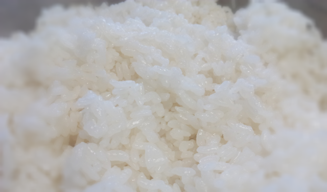 정직한김밥 이미지