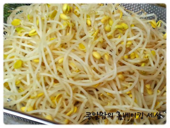 <견과류 해물찜>