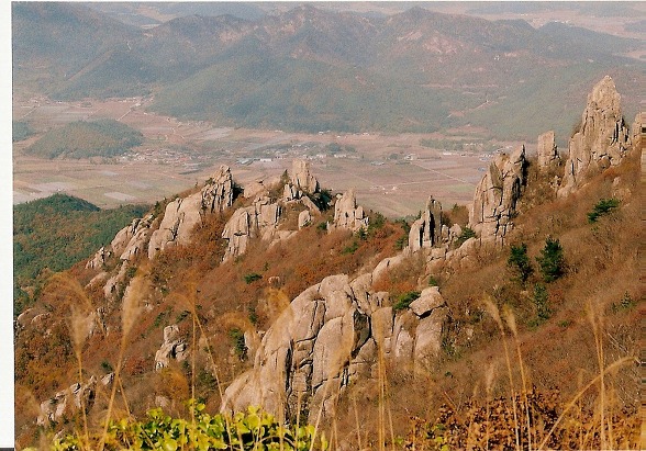 화실숲 이미지