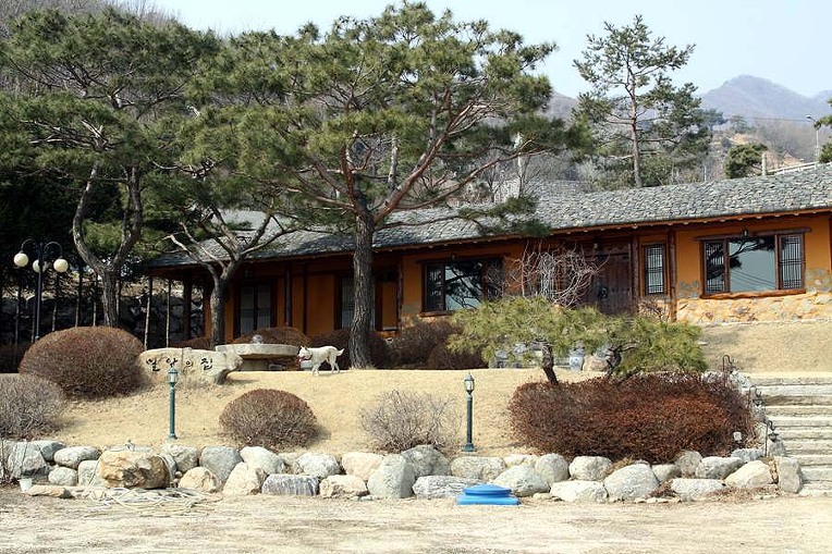 이미지
