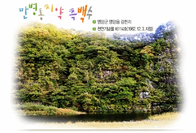 (주)이루다 이미지