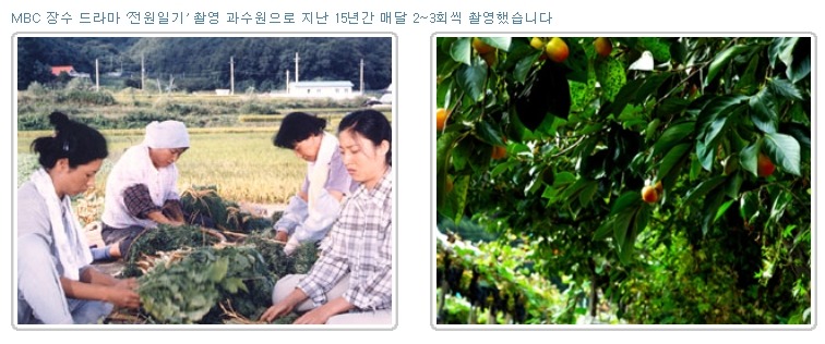 그린토피아 이미지