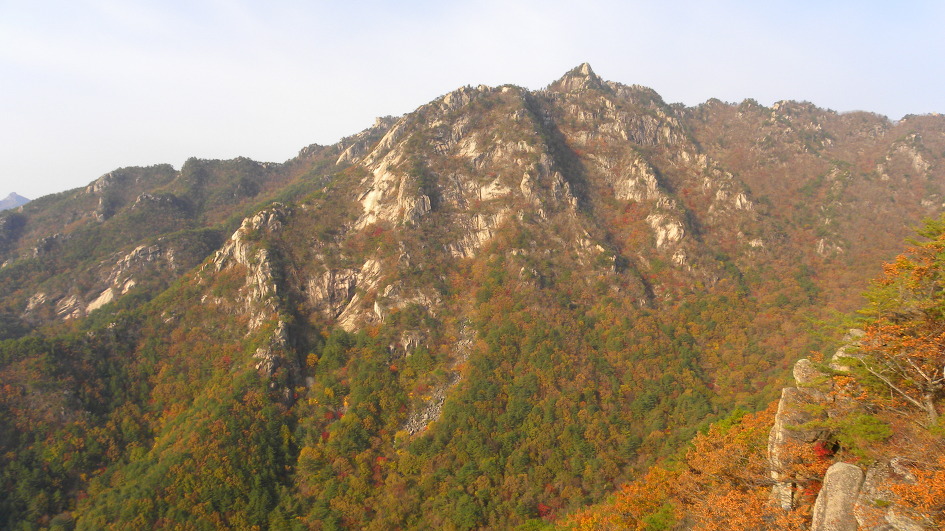 지금가야산 이미지