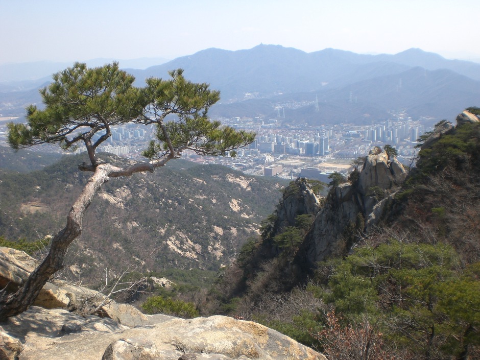 주유소(酒有所) 이미지
