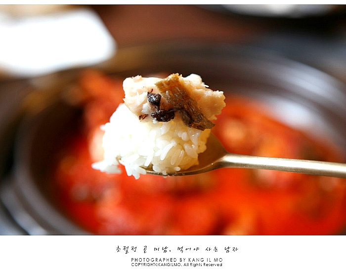 잠실 맛집 제주도 음식 전문식당 제라한 | 네이트 판