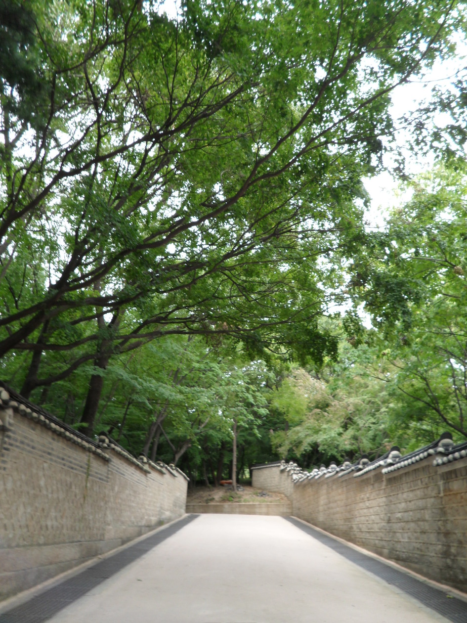 비원 이미지