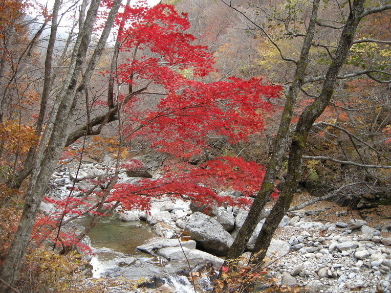 지리산IC 이미지