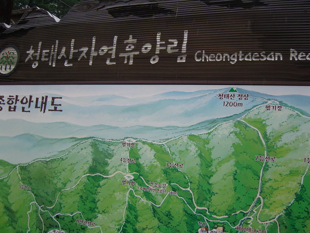 131795504E06FF01290984