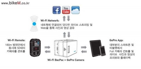 달자 이미지