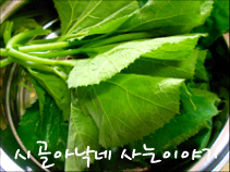 행복한시골밥상 이미지