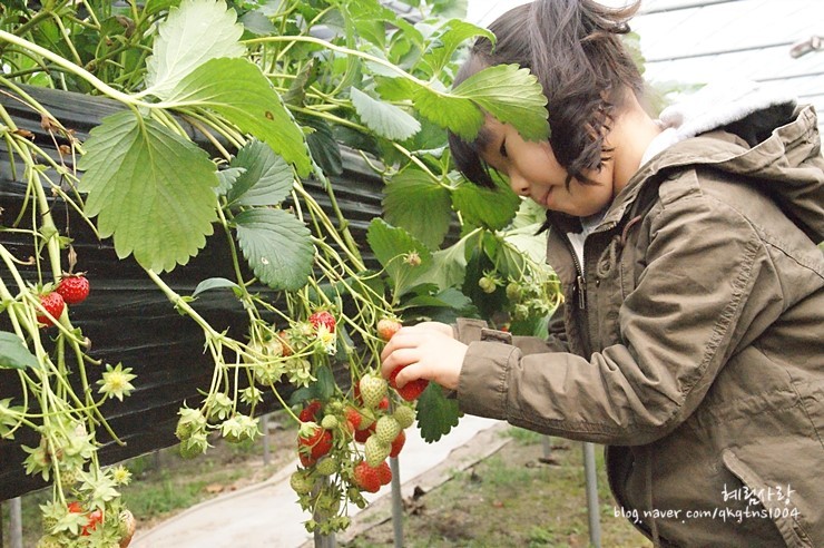 134F92554DA873D215D34A