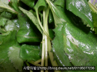 바쁜아침 반찬걱정은 끝! 6가지 환상의 봄나물 무침세트>_