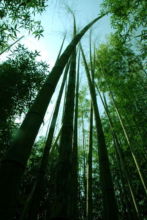 1350CF174B2AF2F10F03A5