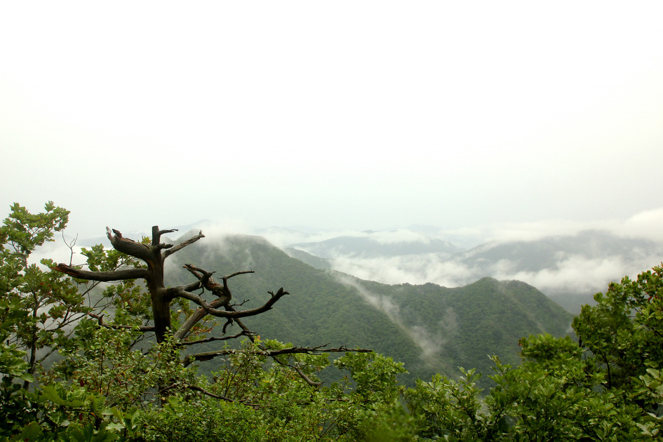 완택산 이미지