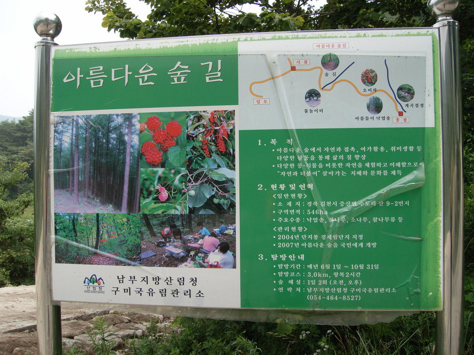 산행_김천 수도산