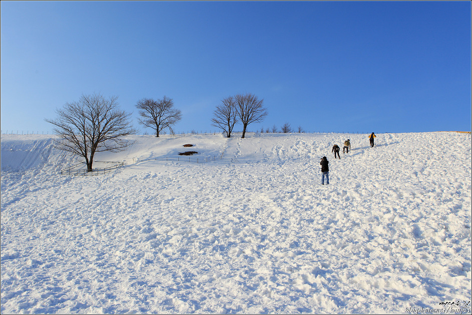 Snow Frolic(눈장난)-러브스토리OST