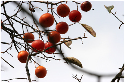 1428EA224ADF85C017F6F8