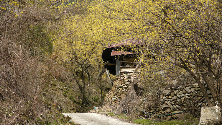 1446D8264BB504081E340C