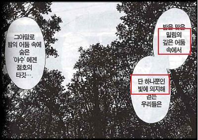 태양장 이미지