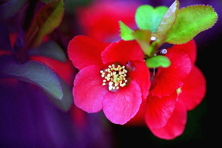 14631C4A4D8B391336F1F7