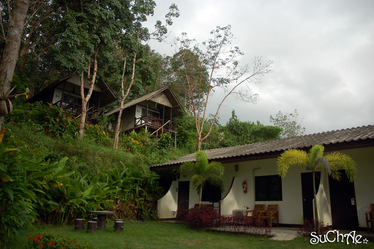 1466B14F4E9693232C00C4