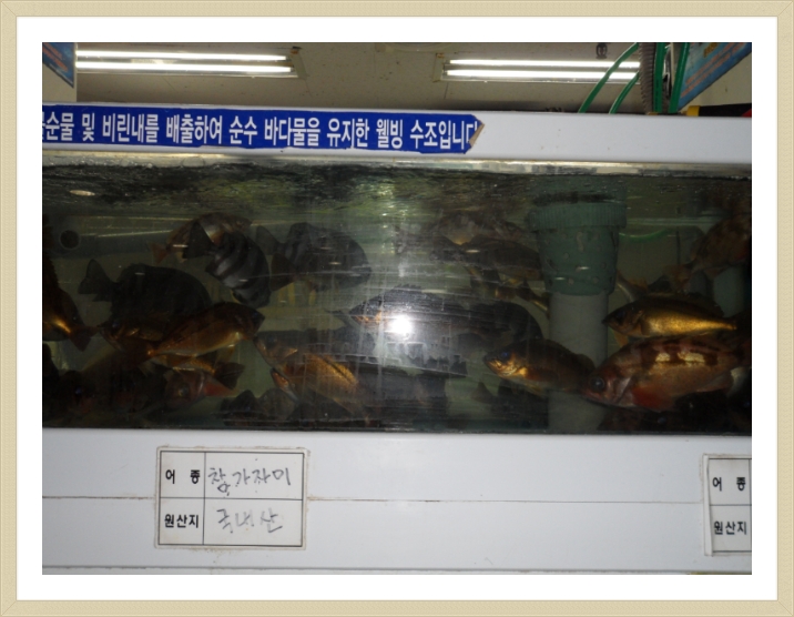 일광횟집 이미지