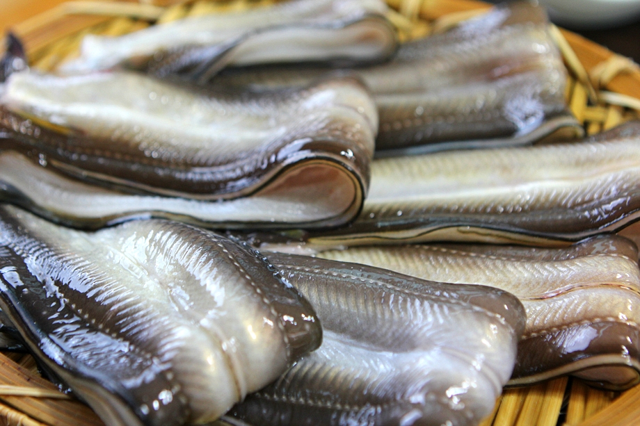 통발로 직접 잡아서 손님상에 그대로..남해에서 가장추천하는 맛집