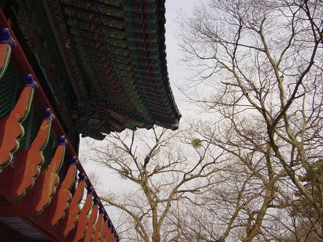 <236>상운산 1114  미터     2003. 3. 20