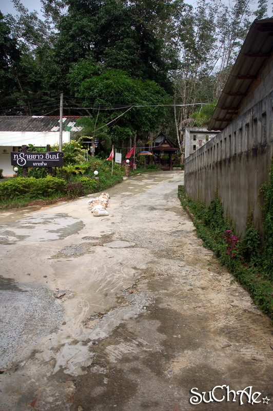 1564644F4E969322315449