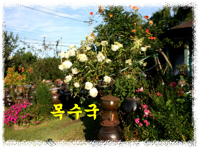 157F311F4A7E9A2AE56C0B