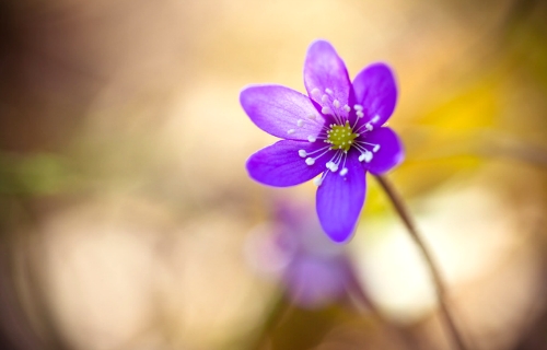 1618434B4E3539B5016C06