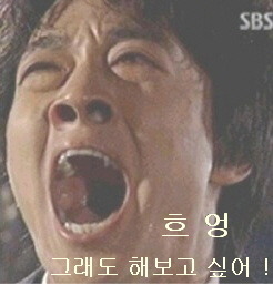 쿠마 이미지
