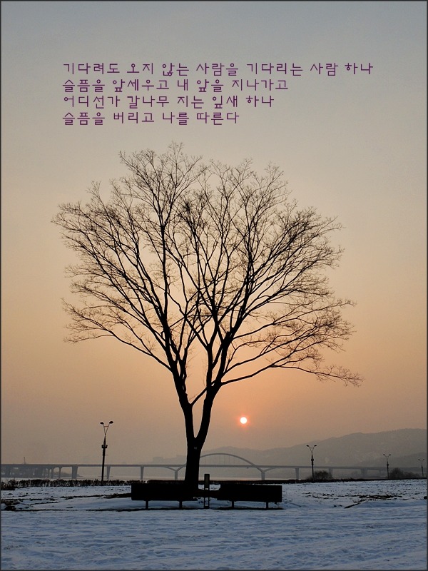 슬픔으로 가는 길......(정호승)