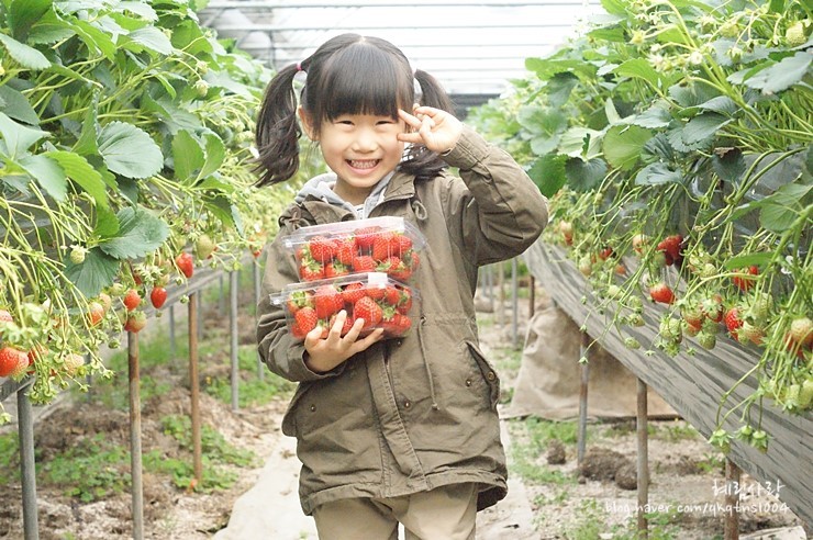 1679A2524DA873FF202F4C