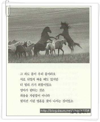 말 잔등 닮은 제주의 섬 통해 우리의 영혼을 어루만지는 ‘초인‘