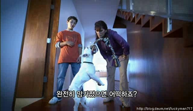 CISCO DogBot - 말하는 강아지 스크랩스가 갑자기 멈췄어요!