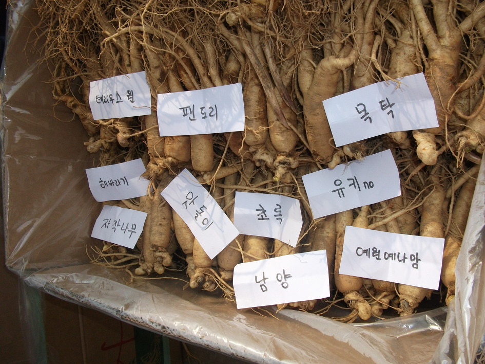 촌부일기 이미지