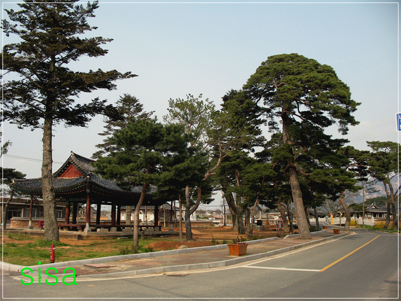 상대포와 구림 한옥마을을 찾아서...2010. 4월