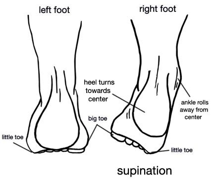 Supination, Pronation of the Foot