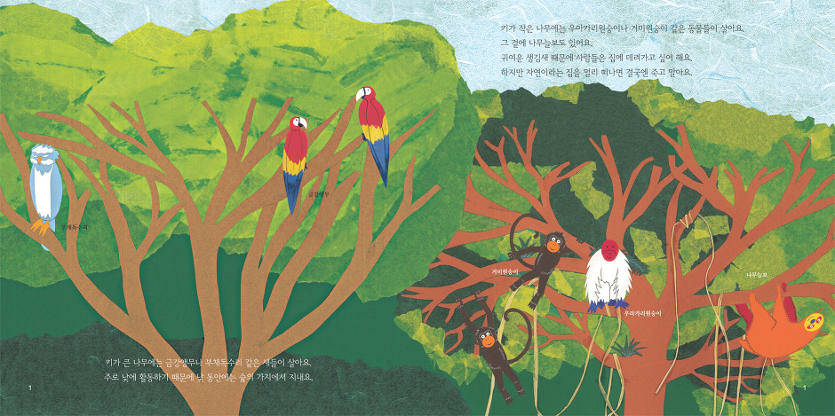 아마존 숲의 편지