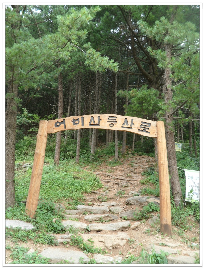 대일민박 이미지