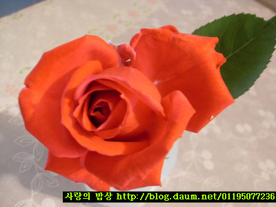 엄마주스 이미지