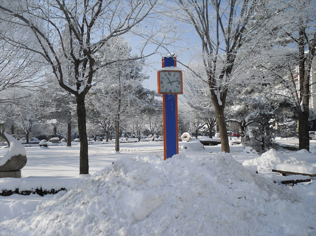2010년 1월 6일 상고대가 활짝 핀 한림대학교