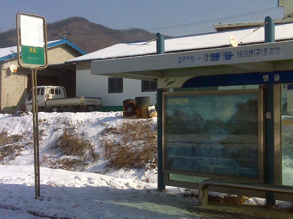 맹골농원 이미지