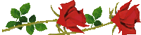 19072B4C4D57C2400C58BD