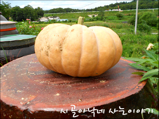 행복한시골밥상 이미지