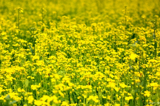 19471F374FB03C6F023CC6