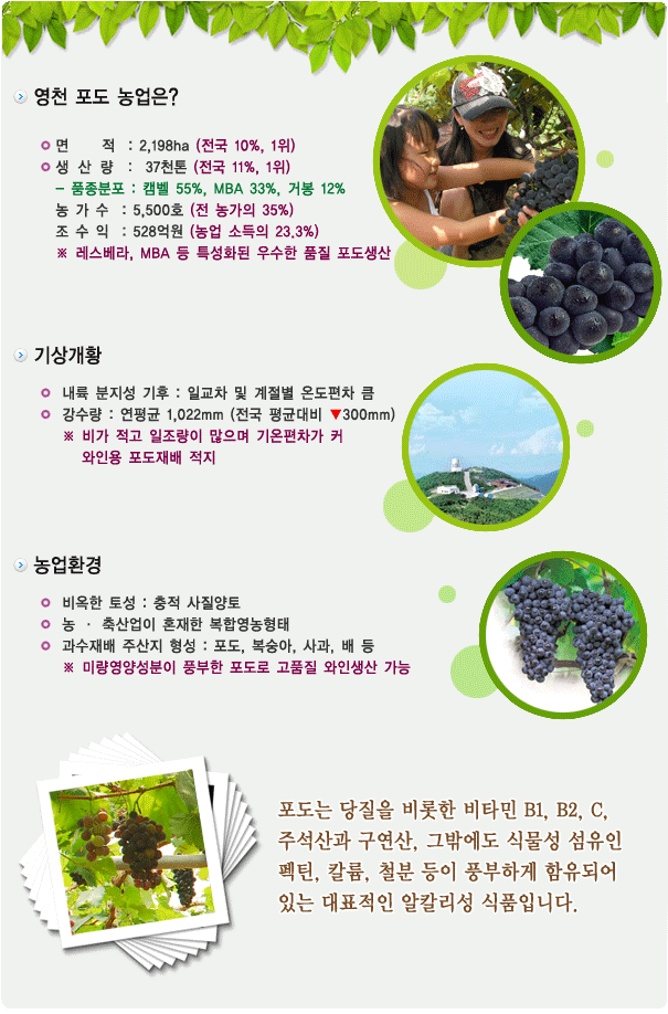 우아미 이미지